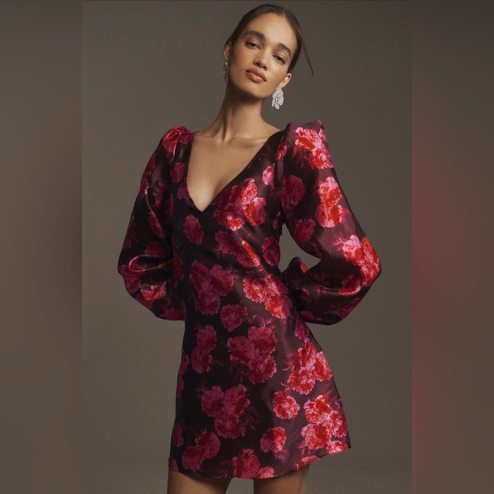 BHLDN Alaina long sleeve v neck floral organza mini dress